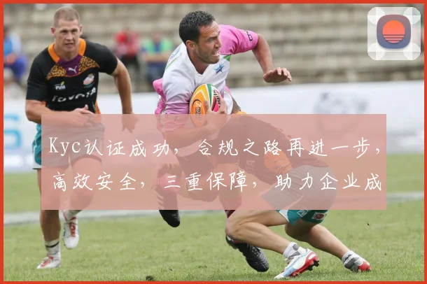 Kyc认证成功,合规之路再进一步,高效安全,三重保障,助力企业成长